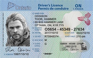 Buy Fake Canada driving license for sale