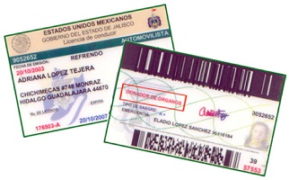 Buy fake Mexico driving license online