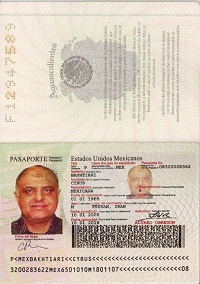 Mexican passport for sale online