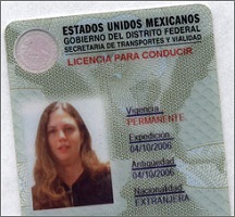 Buy fake Mexico driving license